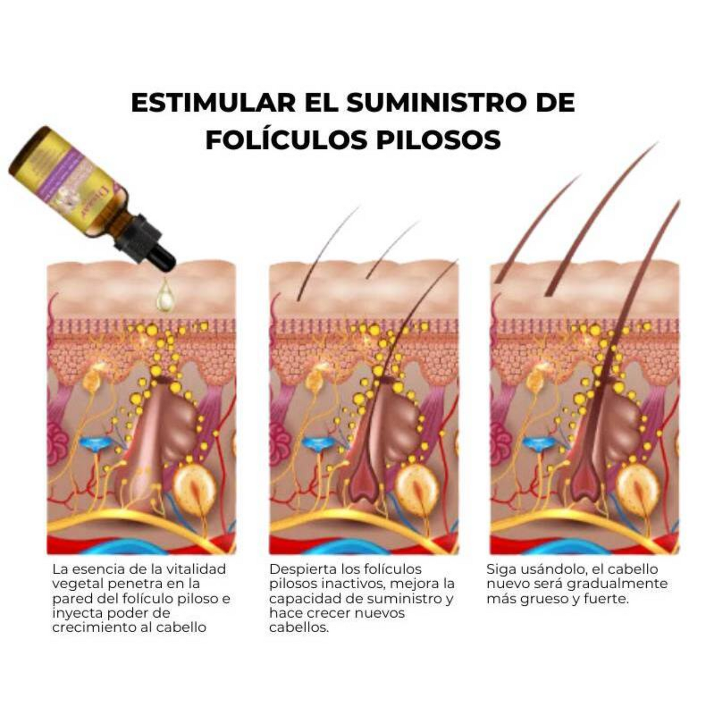 SUPER PACK SHAMPO Y ACEITE ANTICAIDA DEL PELO-COMBATE LA CAÍDA DE TU PELO Y PROMUEVE SU CRECIMIENTO SALUDABLE, VE RESULTADOS DESDE EL PRIMER MES DE USO-ENVÍO GRATIS