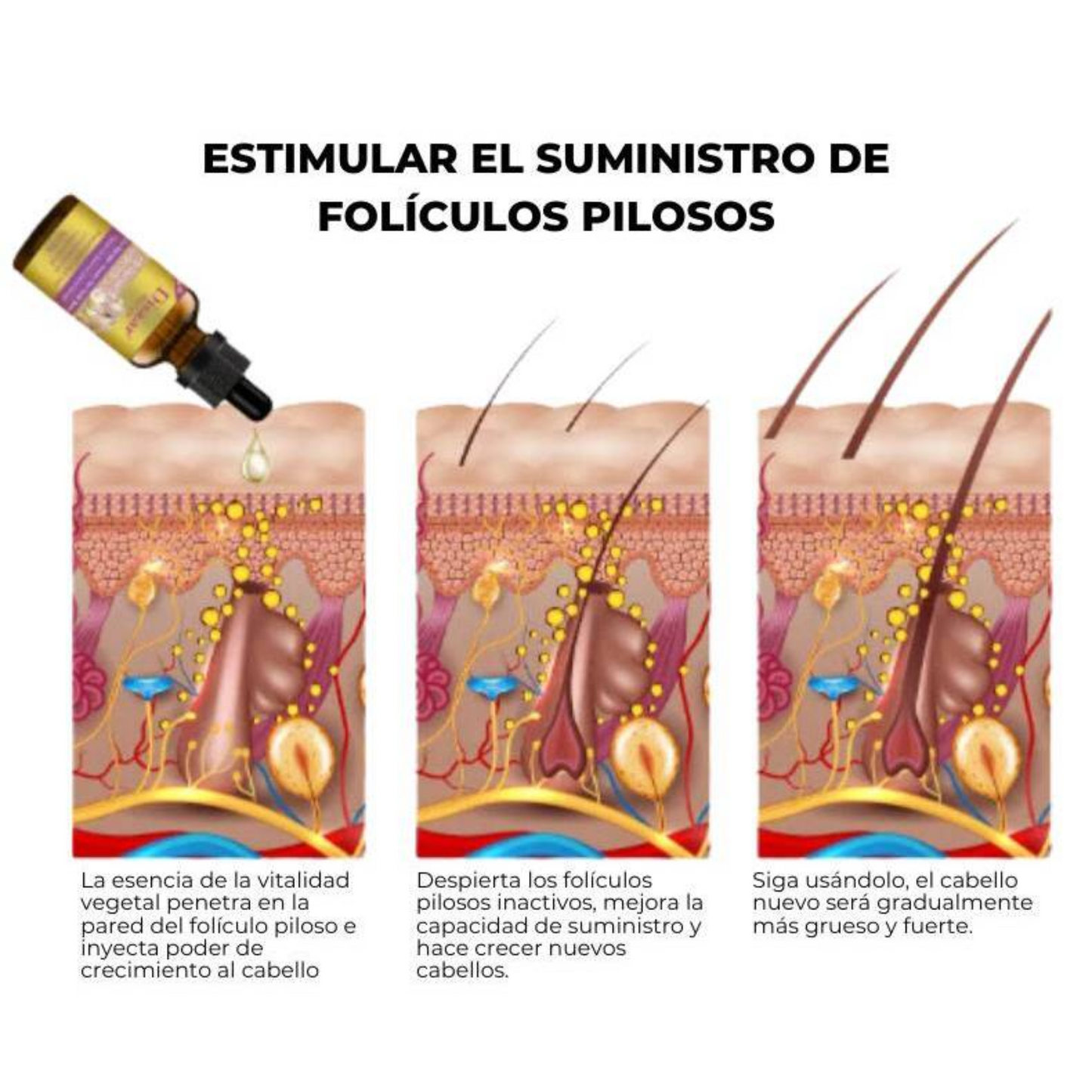 SUPER PACK SHAMPO Y ACEITE ANTICAIDA DEL PELO-COMBATE LA CAÍDA DE TU PELO Y PROMUEVE SU CRECIMIENTO SALUDABLE, VE  RESULTADOS DESDE EL PRIMER MES DE USO-ENVÍO GRATIS